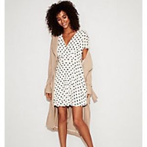 Express Polka Dot Dress